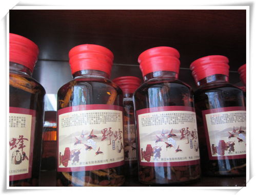 蘭溪嘉行養生酒 精品酒類批發優選，輔仁路優質供應商